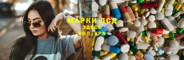 дживик Осинники